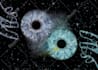 create an amazing unique iris art for you