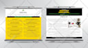 design a professional flyer for your business use