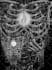 make a detailed dark tshirt illustration