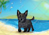 make a cartoon of your pet