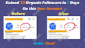 do fast organic instagram growth