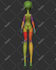 sculpt a bjd, ball joint doll, for 3d printing