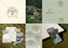create a guideline for your brand and logo