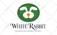 recreate, vector trace, redraw logo, cleanup, image to vector