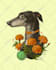 draw a cute pet, cat, dog portrait in my art style