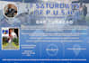 create an event flyer or poster