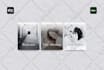 design aesthetic puzzle feed instagram and canva templates