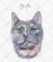 do a custom watercolor pet portrait painting