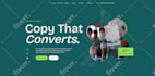 design professional responsive website and landing page