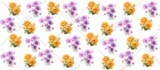 create professional flower or plant digital art