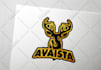 design a flat and professional logo for you