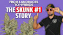 design the best youtube thumbnail design