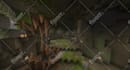 professionally build survival or creative minecraft builds