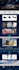 design and development a professional custom shopify website for your business