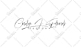 design signature handwritten cursive scripted handwriting logo