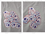 do all kinds of custom embroidered patches designed digitized and shipped