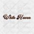 create a custom hand illustrated logo