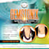 design world class social media flyer, fb or ig post