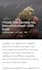 do cannabis cbd oil guest post on my cannabis blog