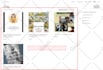 fix wordpress bugs and customize themes and plugins