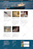 build wordpress elementor website or redesign wordpress website
