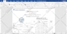 convert PDF to word and format documents professionally