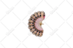 do cutout image background removal with clipping path