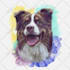 do a custom pet portrait, dog portrait, cat portrait