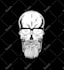 draw skull head or skeleton illustration for you