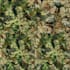 create seamless pattern design for fabric, textile etc