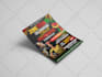 design an outstanding flyer