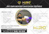 design a professional flier, brochure for you