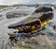 edit and retouch your underwater photos