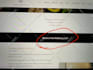 setup your mailerlite email marketing and design landing pages