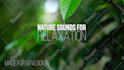create high quality relaxing and meditating videos