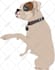 draw a cartoon of your pet, cat, dog