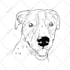 draw custom pet portrait in line art vector illustration