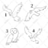 draw vector linear illustration for you or your business