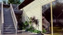 do landscape design, garden design, backyard, swimming pool, and render