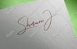 create signature logo or wordmark