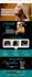 design wix website wix website design wix website redesign