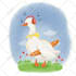 design beautiful children story book illustration