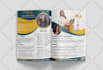 design professional one sheet, flyer, one page, press kit in 2hrs