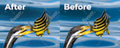 enhance, upscale, denoise, sharpen, and improve your images professionally
