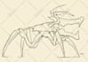 draw line art character concept design