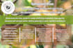 do shopify store design, shopify website design, ecommerce website development