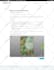 business directory website design brilliant directory  wordpress website