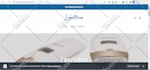 create dropshipping shopify store or shopify website