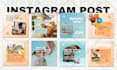 be your social media marketing manager and ads manager