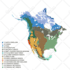 make unique hand drawn map  vector illustration